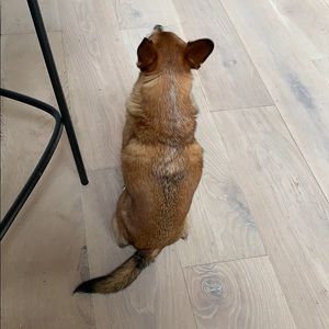 Meet your Posher, Dan